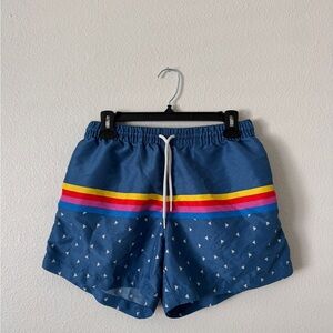 Colorful Striped Swim Shorts